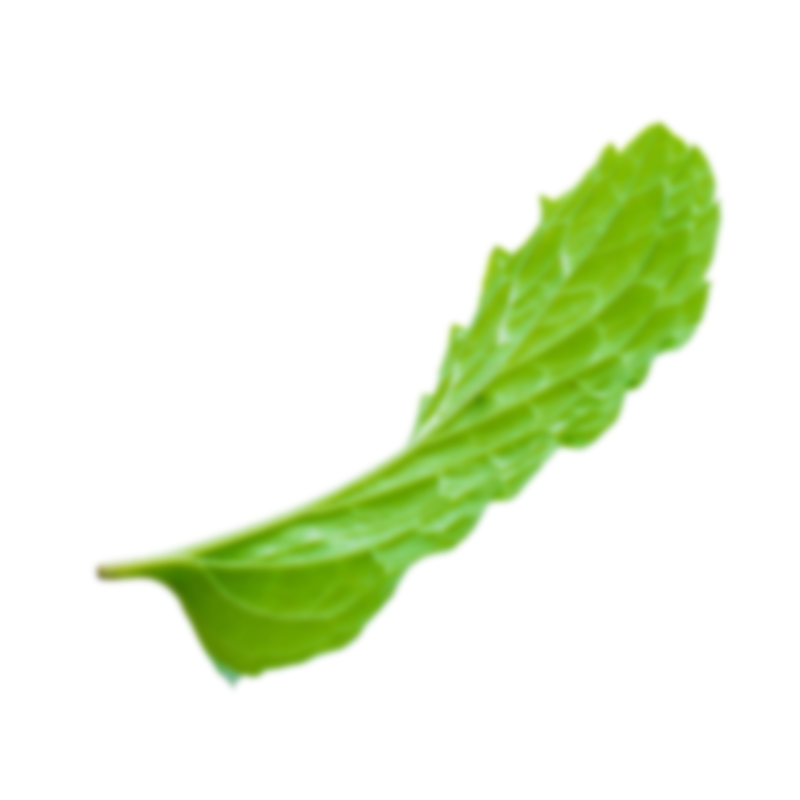 Sorbeval Mayorista de sorbetes menta3